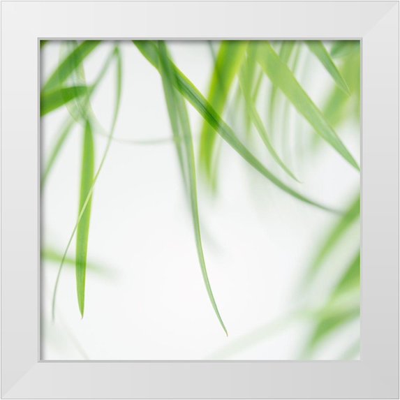 Poinski, Dianne 26x26 White Modern Wood Framed Museum Art Print Titled - Green Leaves 1