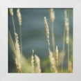 thumbnail image 1 of Poinski, Dianne 26x26 White Modern Wood Framed Museum Art Print Titled - Northwest Morning I, 1 of 4