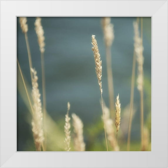 Poinski, Dianne 26x26 White Modern Wood Framed Museum Art Print Titled - Northwest Morning I