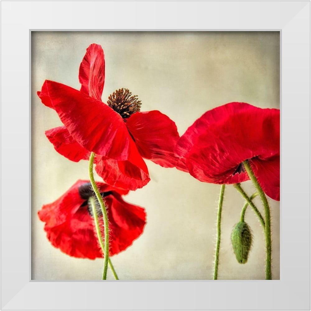 Poinski, Dianne 26x26 White Modern Wood Framed Museum Art Print Titled ...