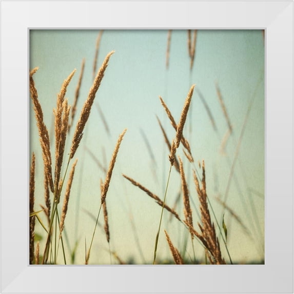 Poinski, Dianne 26x26 White Modern Wood Framed Museum Art Print Titled - Steppe Carpet 2