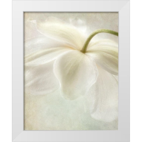Poinski, Dianne 26x32 White Modern Wood Framed Museum Art Print Titled - Spring Bonnet II