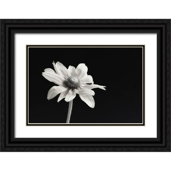 Poinski, Dianne 32x23 Black Ornate Wood Framed with Double Matting Museum Art Print Titled - Elegance Floral I