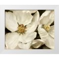 thumbnail image 1 of Poinski, Dianne 32x26 White Modern Wood Framed Museum Art Print Titled - Blossoms I, 1 of 4