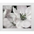 thumbnail image 1 of Poinski, Dianne 32x26 White Modern Wood Framed Museum Art Print Titled - Soft Blossoms II, 1 of 4