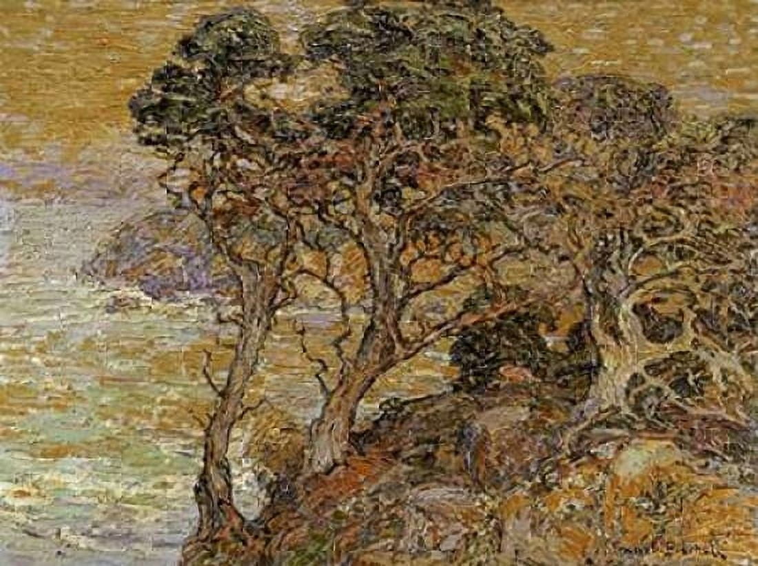 Point Lobos Monterey Coast Canvas Art - Franz Bischoff (18 x 24)