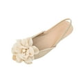 thumbnail image 1 of Pointed Toe Slingback Flats Women Elegant Dress Sandals Comfort Dressy Flower Slip On Flat Light Weight Ballet Shoes, 1 of 9