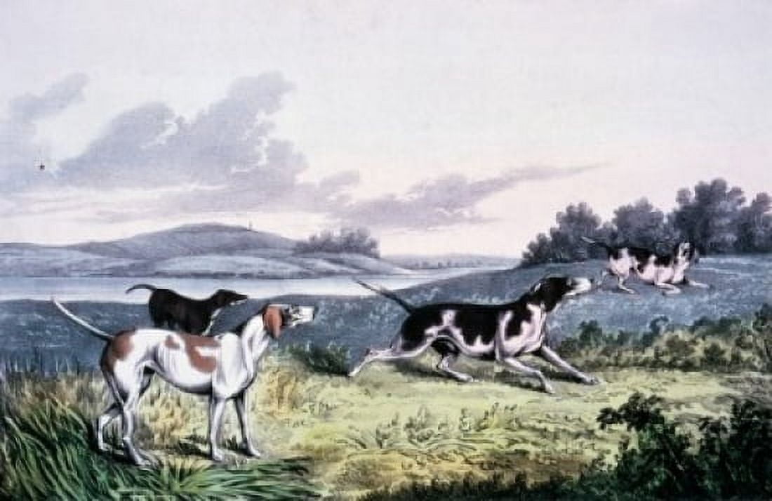 Pointers Currier and Ives color lithograph (1857-1907) Washington DC Library of Congress Canvas Art - Currier and Ives (24 x 36)