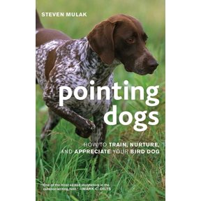 Pointing Dogs: How to Train, Nurture, and Appreciate Your Bird Dog, (Paperback)