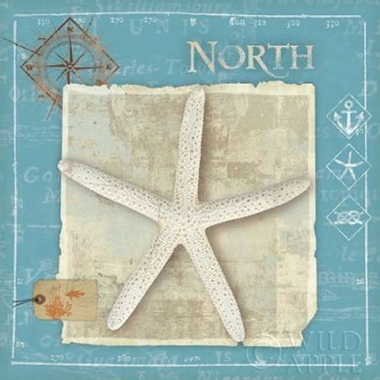Points North Canvas Art - Belinda Aldrich (24 x 24)