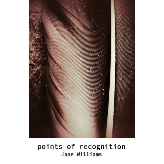 Points of Recognition, (Paperback)