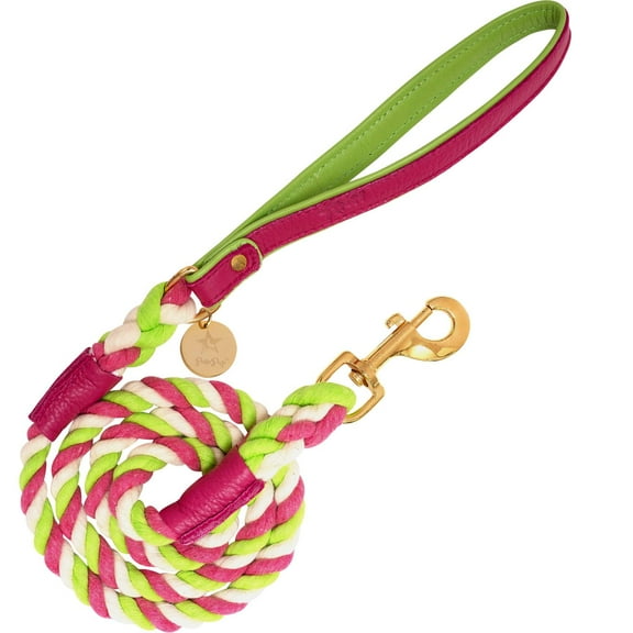 PoisePup Pet Dog 5ft Long Leash - Candy Swirl