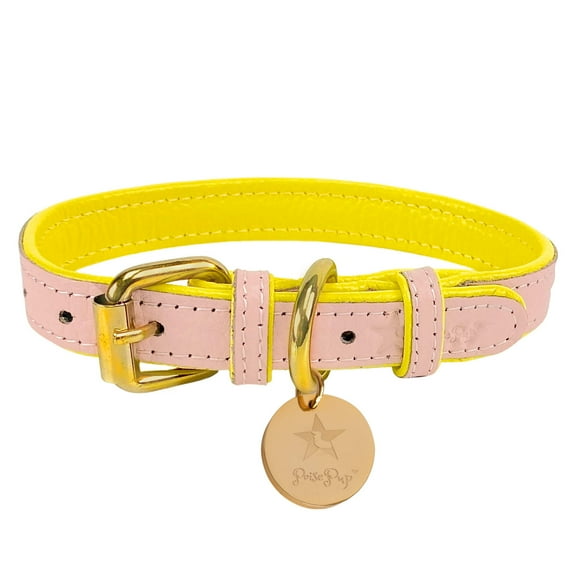 PoisePup Pet Dog Collar - Sweetest Thing