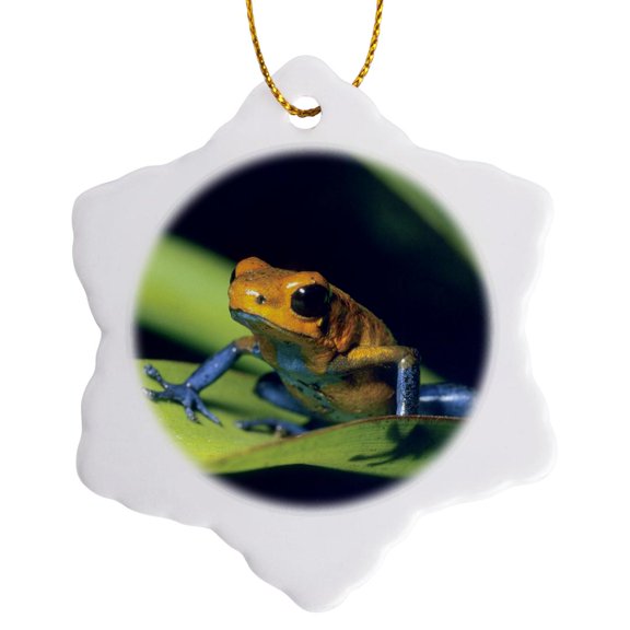 3drose, Poison Dart, La Selva Area, Costa Rica - Sa22 Ksc0068 - Kevin Schafer, 3 inch Snowflake Porcelain Ornament