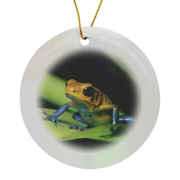 3drose, Poison Dart, La Selva Area, Costa Rica - Sa22 Ksc0068 - Kevin Schafer, Circle Porcelain Ornament