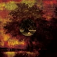 thumbnail image 1 of Movie Star Junkies - Poison Tree - Music & Performance - Vinyl, 1 of 1