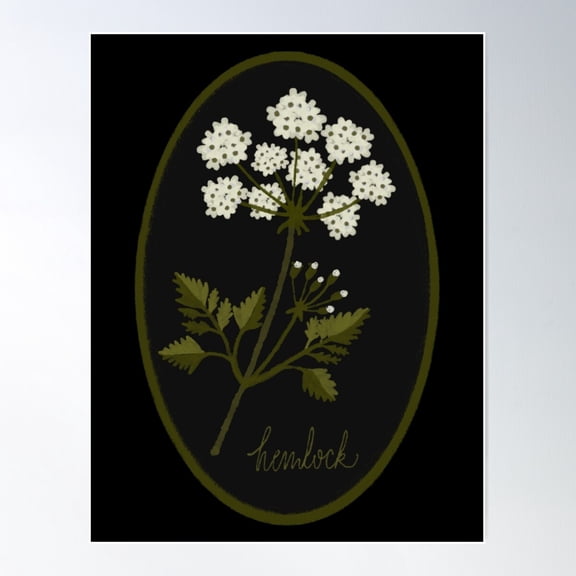 Poisonous Plants - Hemlock Poster Wall Art, Modern Wall Decor For Living Room Bedroom, 12x18 UNFRAMED