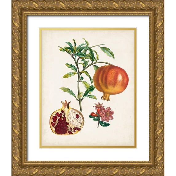 Poiteau, Pierre Antoine 15x18 Gold Ornate Wood Framed with Double Matting Museum Art Print Titled - Grenadier a fruit doux