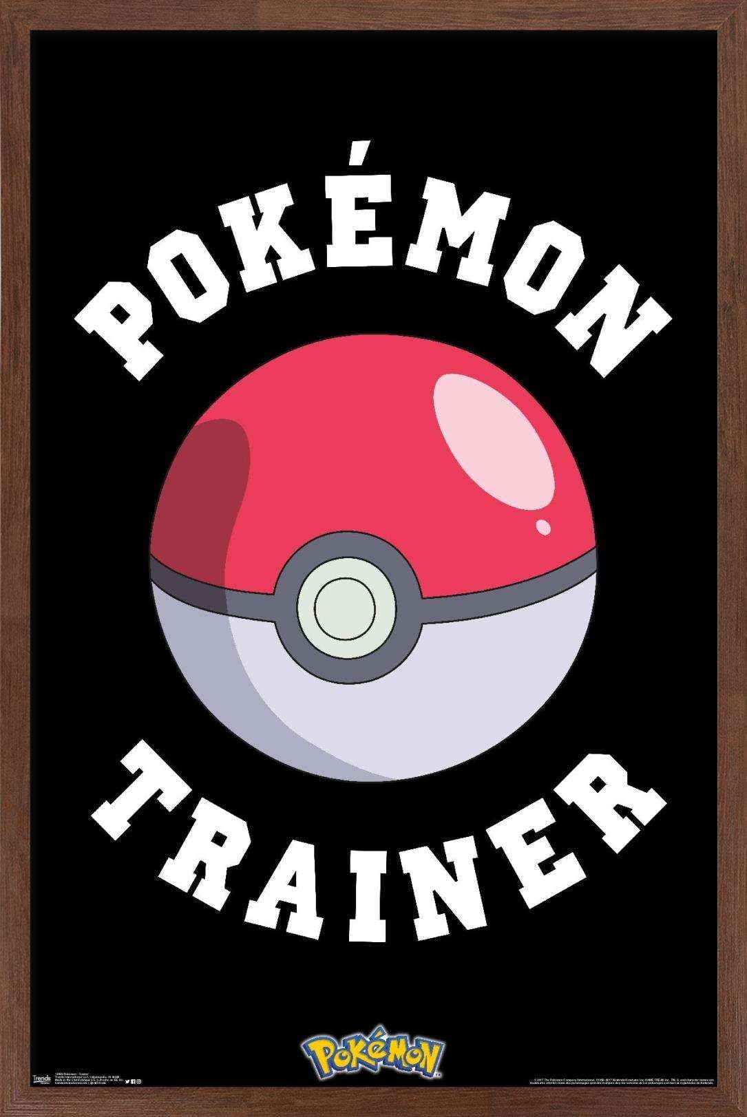 Pokemon - Trainer Wall Poster, 14.725" x 22.375", Framed