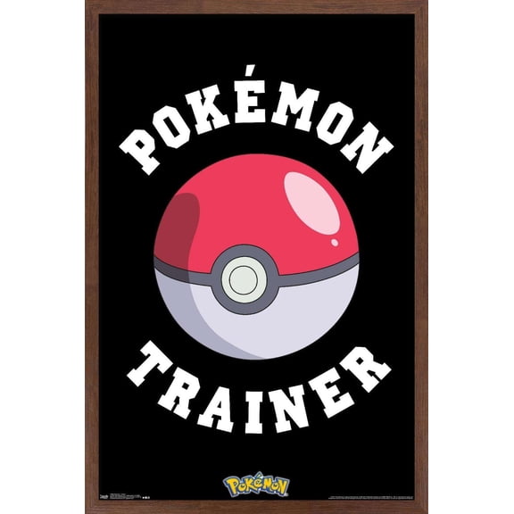 Pokemon - Trainer Wall Poster, 14.725" x 22.375", Framed