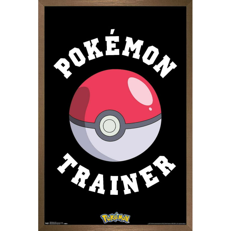 Pokemon Trainer Red 34