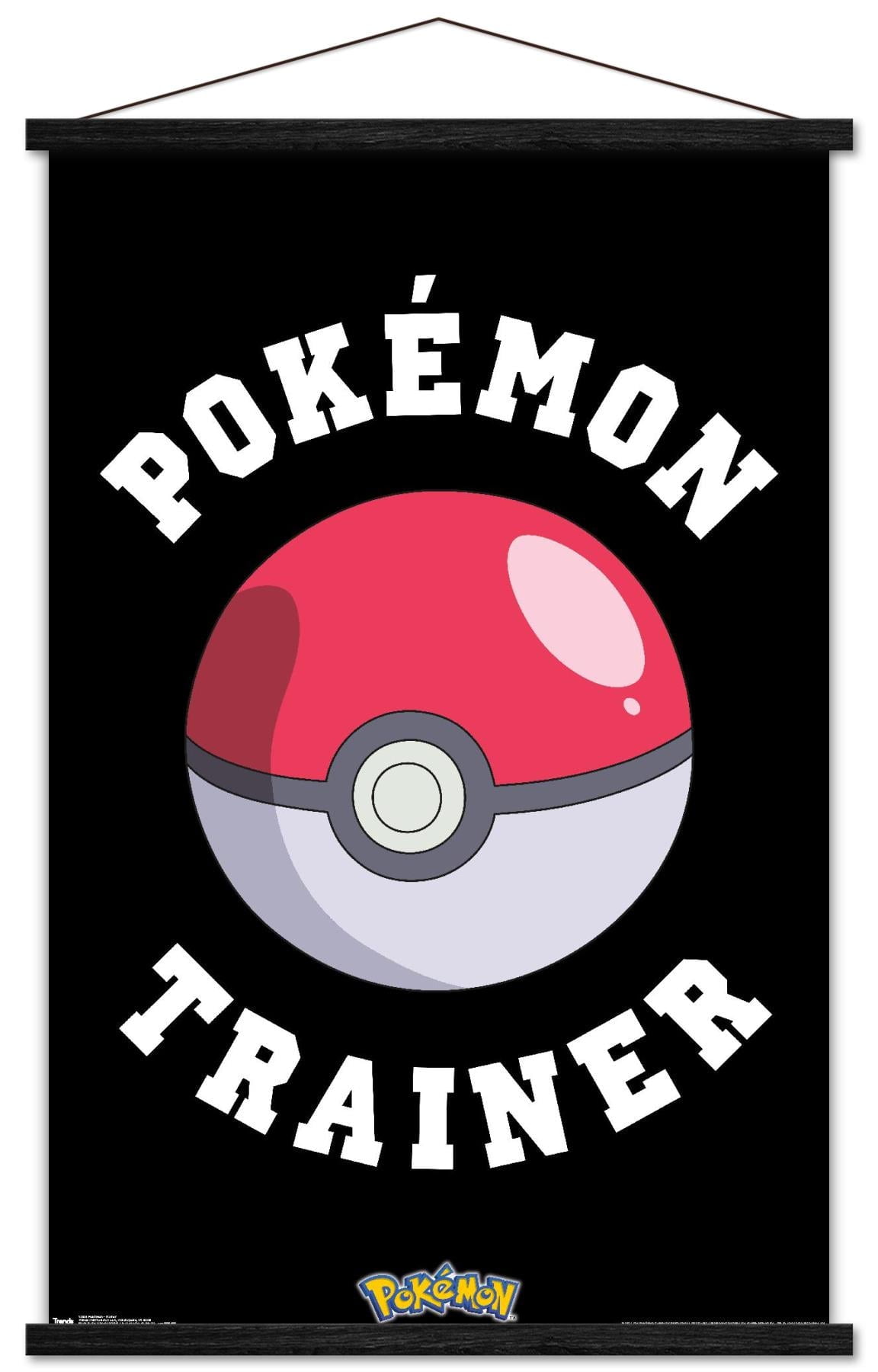 Pokémon - Trainer Wall Poster, 14.725