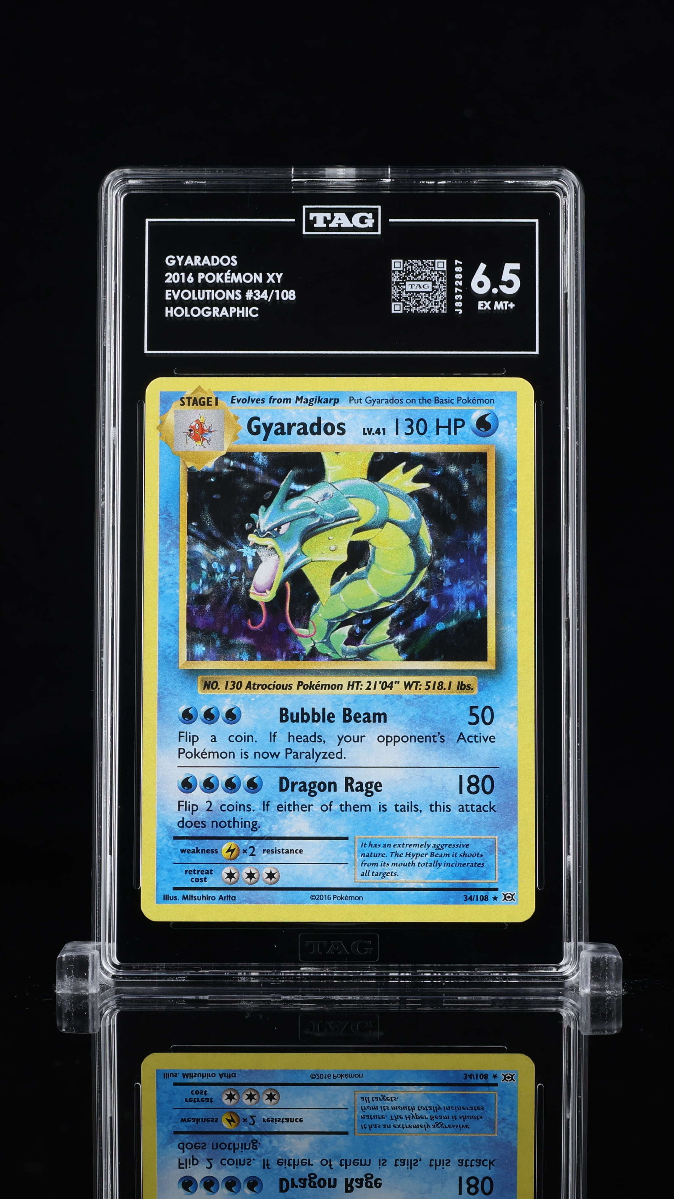 pokemon original 150 cards Original 151 Complete Set (151/150) 1999| TradingCardSets.Com