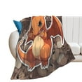 thumbnail image 1 of Pokemon Charizard Throw Blanket Cute Flannel for Boys Girls Men Women, 1 of 7
