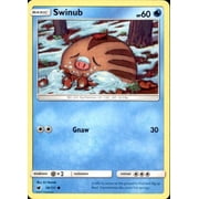 Pokemon Crimson Invasion Common Swinub #19