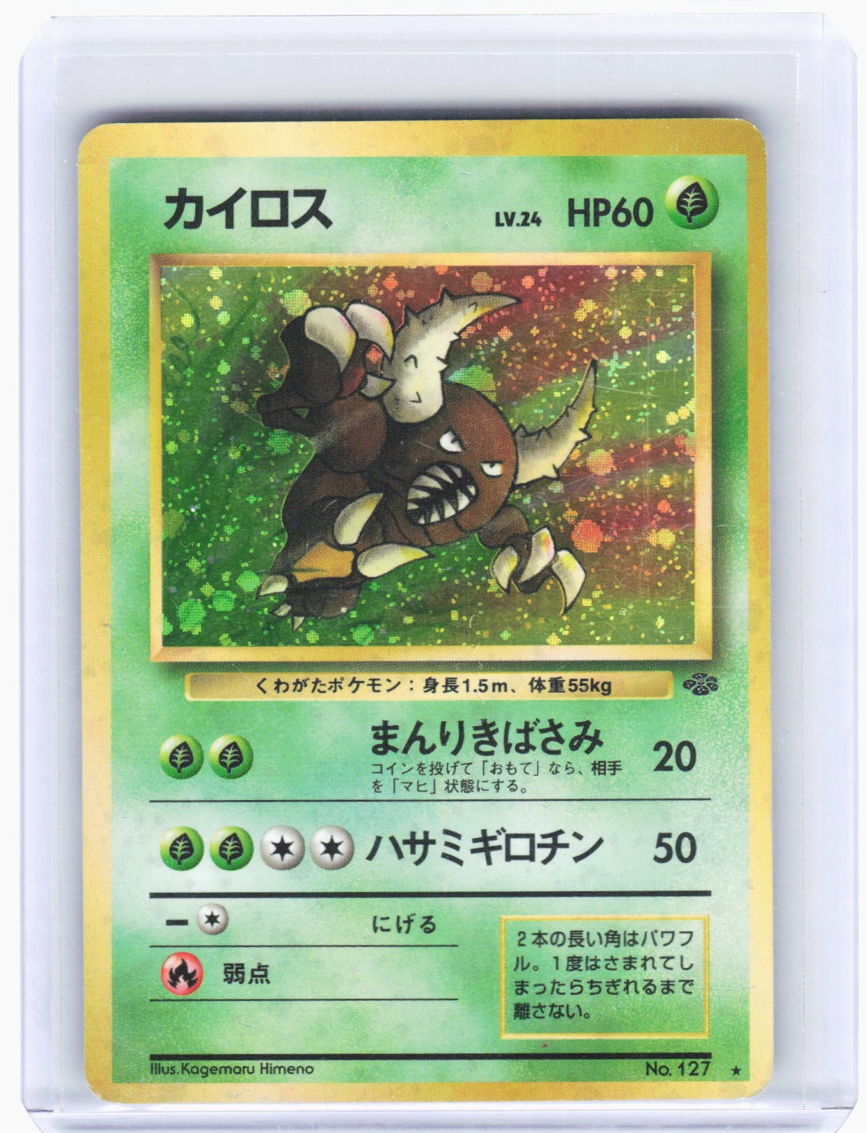 Jungle Pokemon Cards Jungle Pokemon Cards