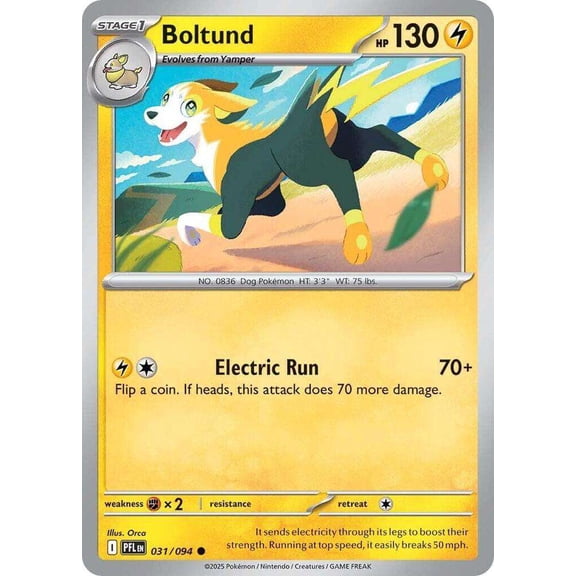 Pokemon Phantasmal Flames Common Boltund #31