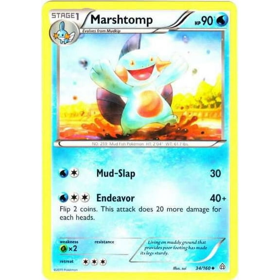 Pokemon Primal Clash Uncommon Marshtomp #34