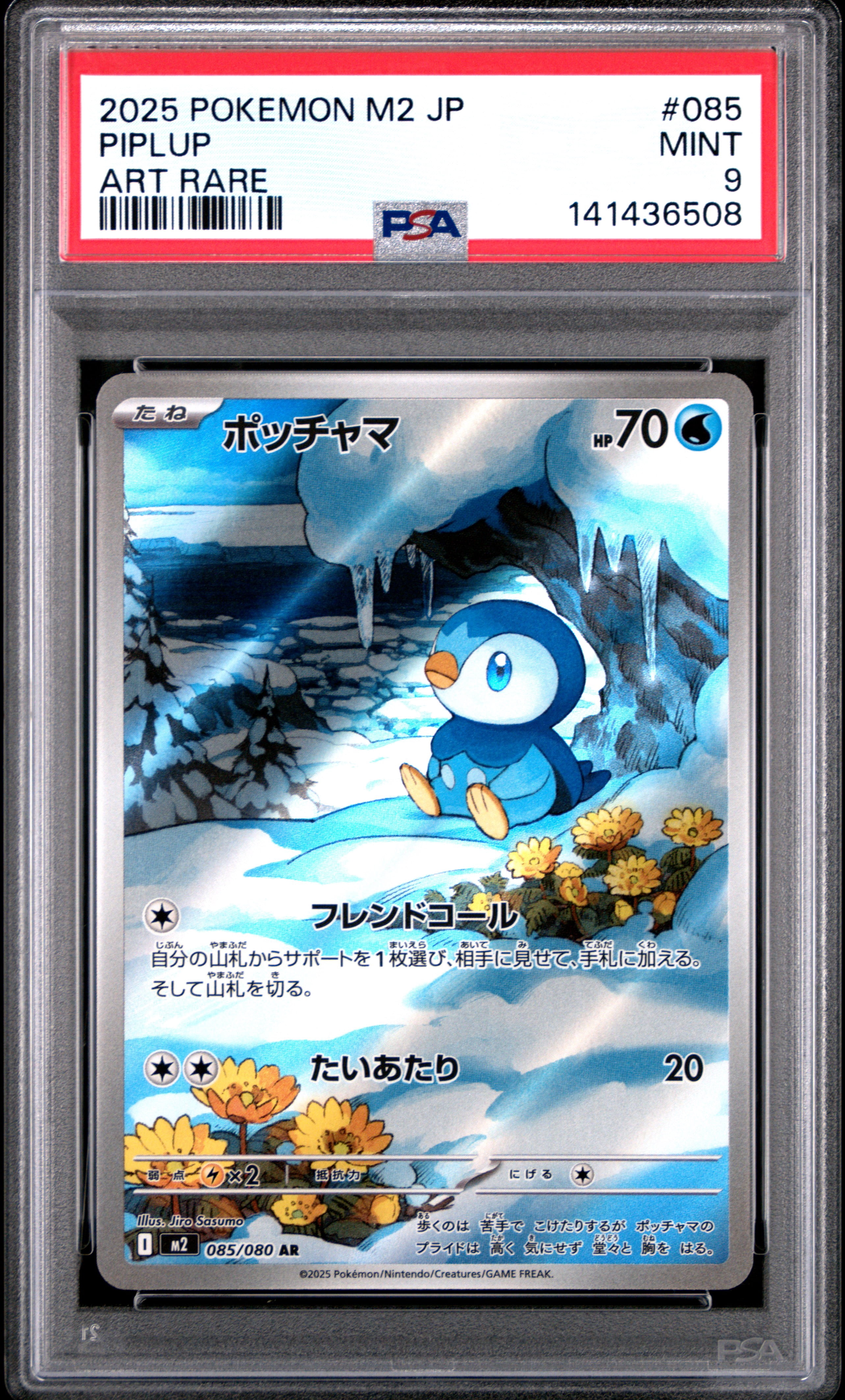 Sealed Pokemon Sealed Pokemon