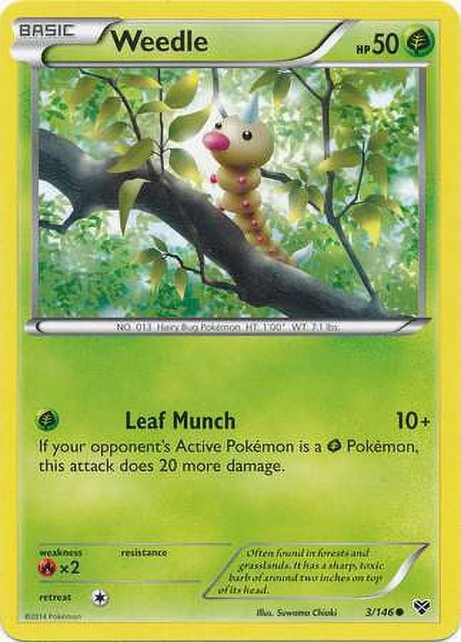 Pokemon X Y Pokemon Pokemon X Y Pokemon
