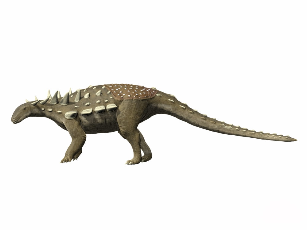 Polacanthus foxii Early Cretaceous of England Canvas Art - Nobumichi TamuraStocktrek Images (17 x 13)