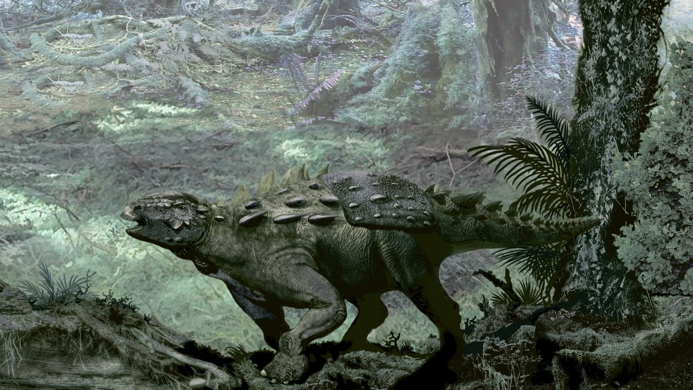 Polacanthus was a heavily armored nodosaurid from England Canvas Art - Jan SovakStocktrek Images (37 x 21)
