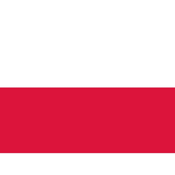 Poland National Flag Patriotic Vexillology World Flags Country Region Poster Extra Large XL Wall Art Print