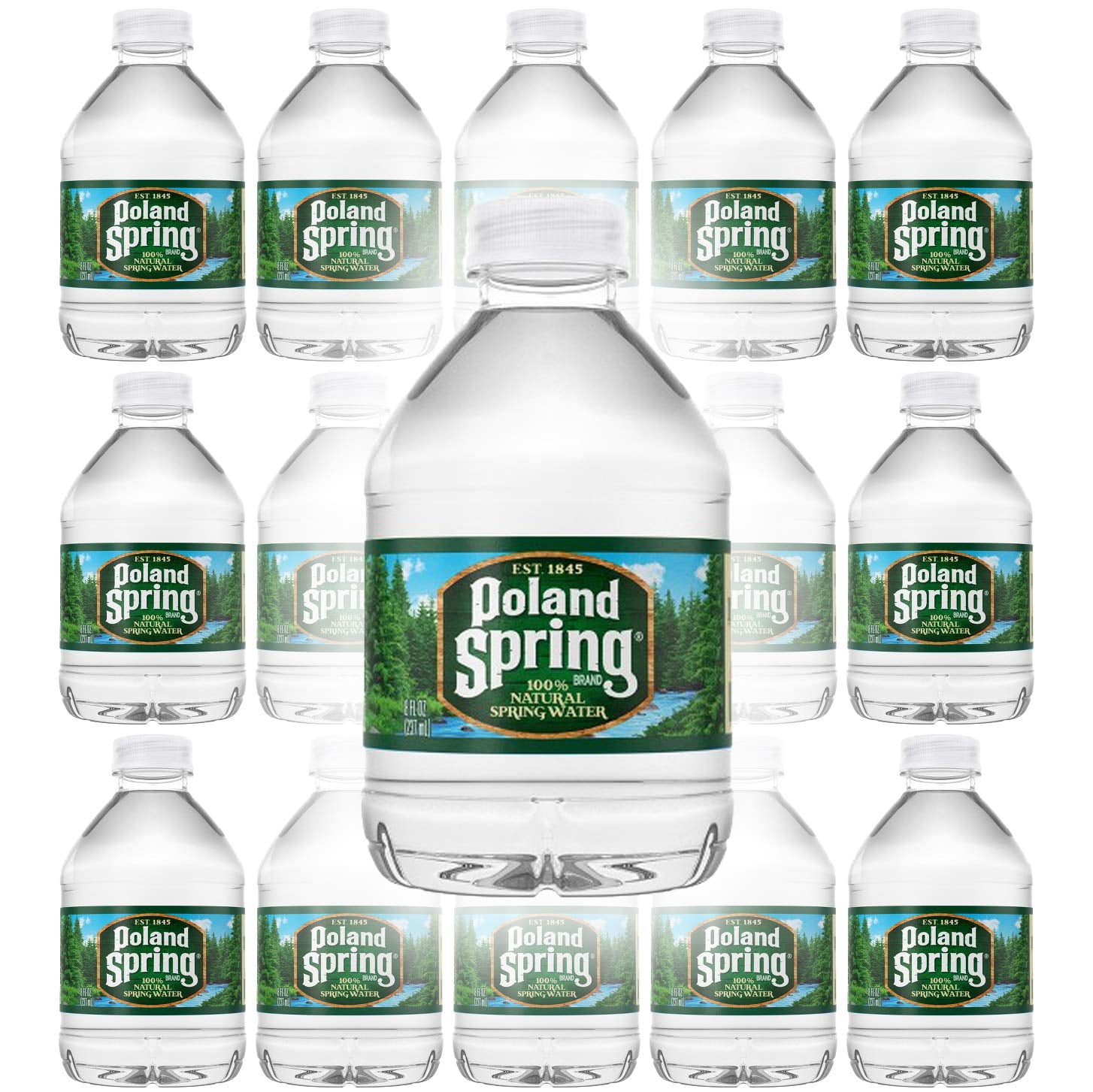 Poland Spring 100% Natural Spring Water, Regular Flavor, 8 oz. Mini Plastic  Bottles, 48/Carton (100987), Staples