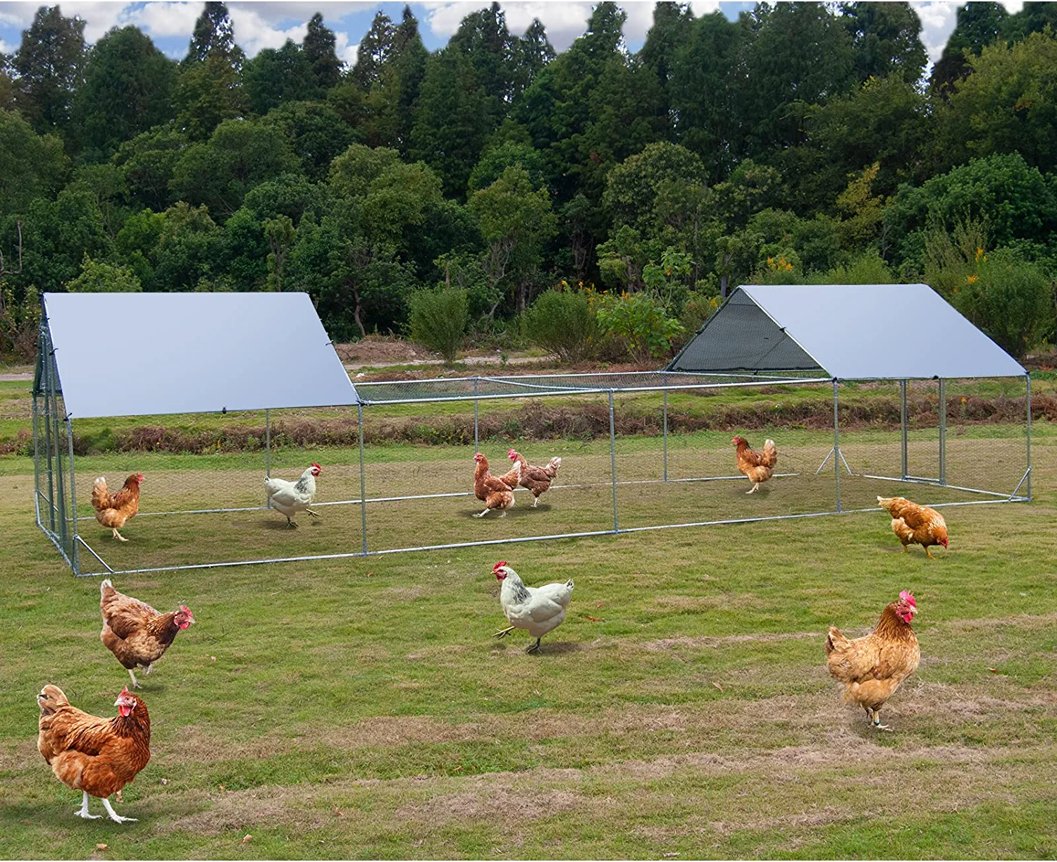 Polar Aurora XL Predator Proof Metal Chicken Coops, 610 Chickens run