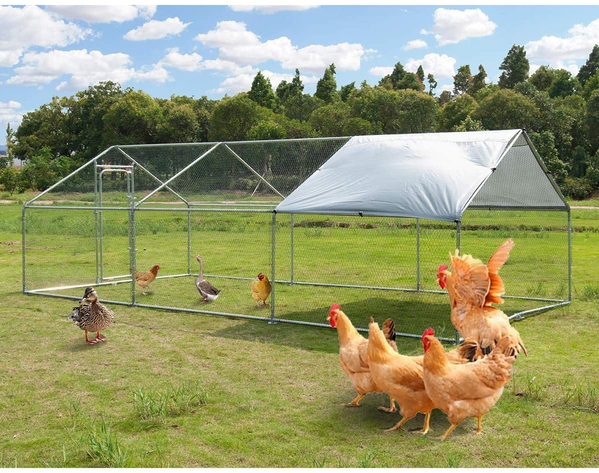 Polar Aurora Extra Large Metal Chicken Coops for 610 Chickens Run Hen Cage Habitat House Walk