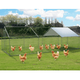 thumbnail image 1 of Betisef 19.69’ L×9.84’ W Metal Chicken Coop Walk-in Poultry Cage Pen Rabbit Duck Habitat Cage Hen Run House with Waterproof&Anti-UV Cover for Outdoor Backyard Farm Use w/pointed roof, 1 of 7