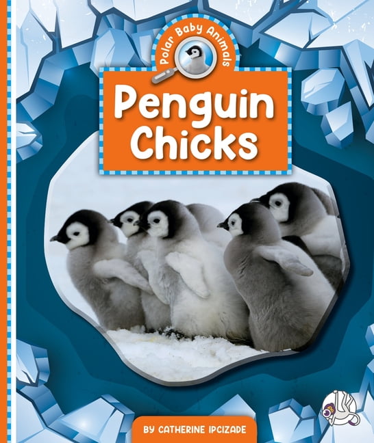 Polar Baby Animals Penguin Chicks, (Hardcover)