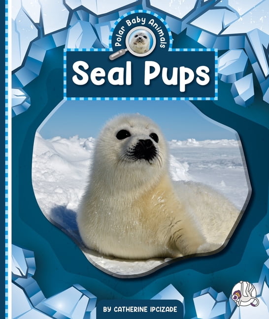 Polar Baby Animals Seal Pups, (Hardcover)