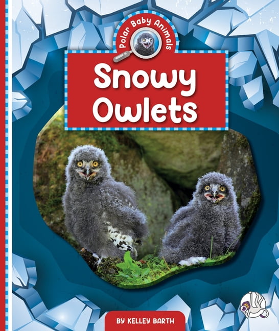 Polar Baby Animals Snowy Owlets, (Hardcover)