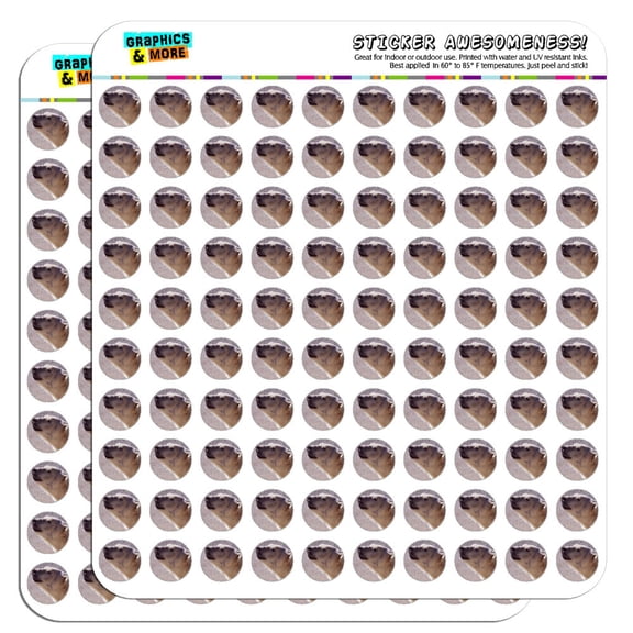 Polar Bear 1/2" (0.5") Scrapbooking Crafting Stickers