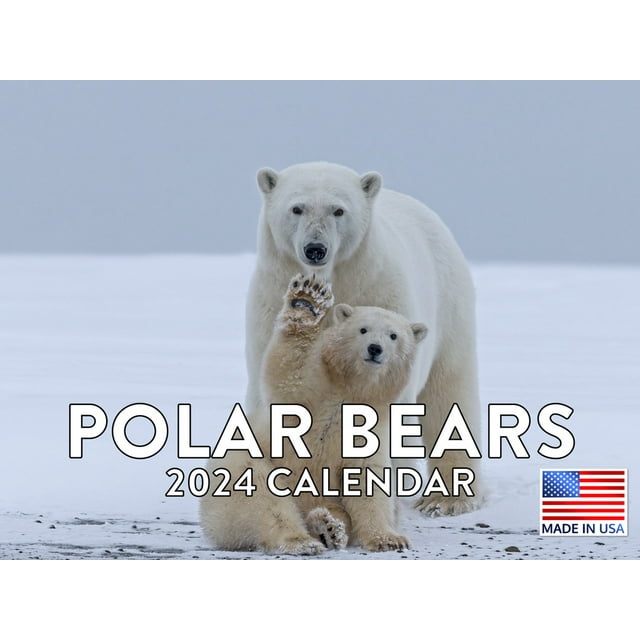 Polar Bear 2024 Wall Calendar
