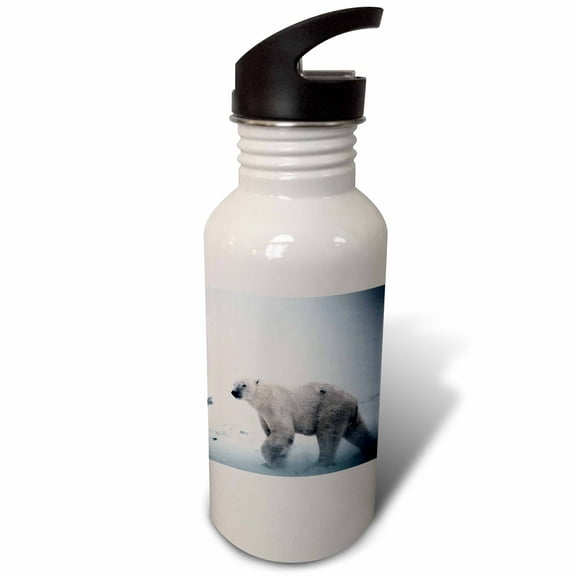 3dRose, Polar Bear, 21 oz Sports Water Bottle