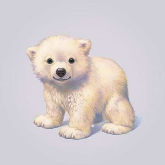 Polar Bear Canvas Art - John Butler (24 x 24)