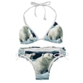 thumbnail image 1 of Polar Bear Detachable Sponge, Adjustable Strap, Bikini Set Two-Pack Swim Suit – Beach, Pool, Vacation, 1 of 6