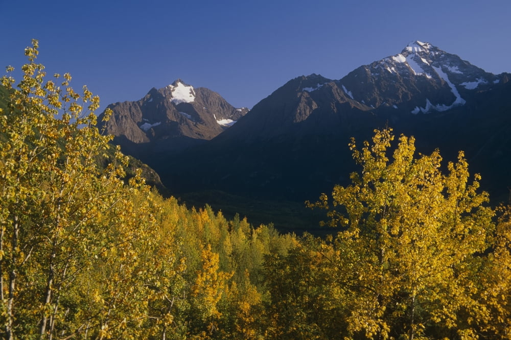 Polar Bear & Eagle Peak Chugach State Park & Mtns In Autumn Southcentral Alaska Canvas Art - Michael DeYoung Design Pics (17 x 11)
